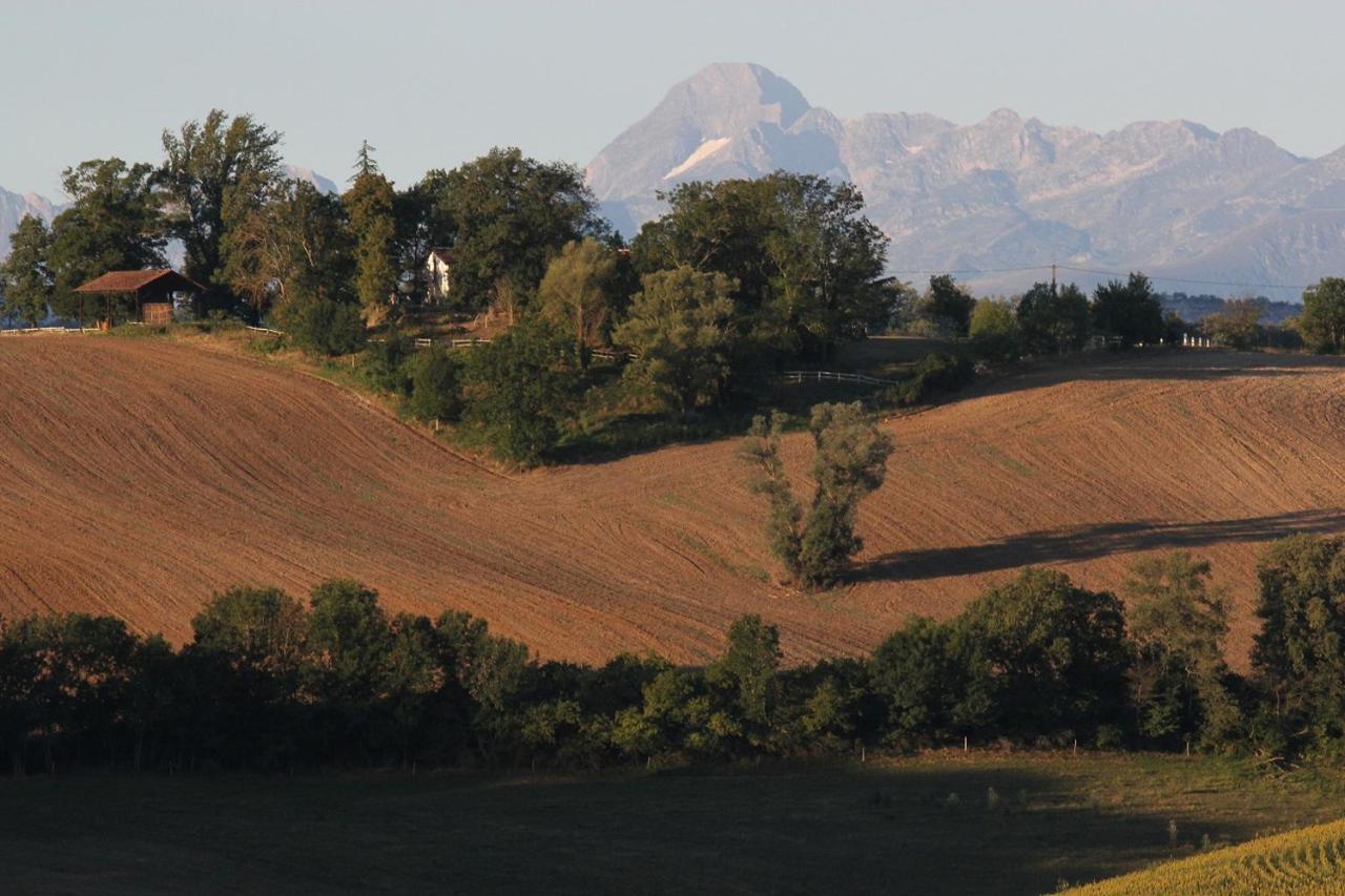 Gite Les Hauts Du Lac Carla-Bayle 외부 사진